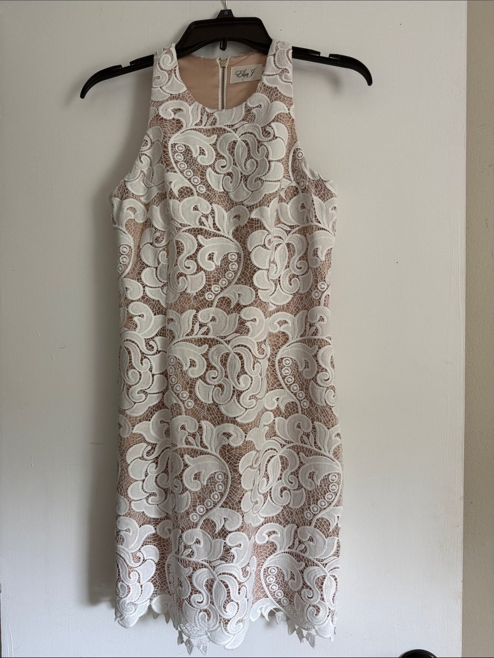 Eliza J Cream & Nude Lace Dress Petite